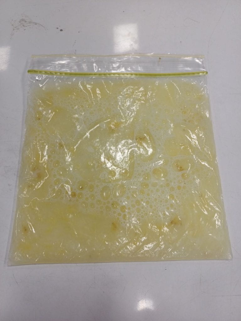 Tp Year 10 Science Extracting DNA Science HHS